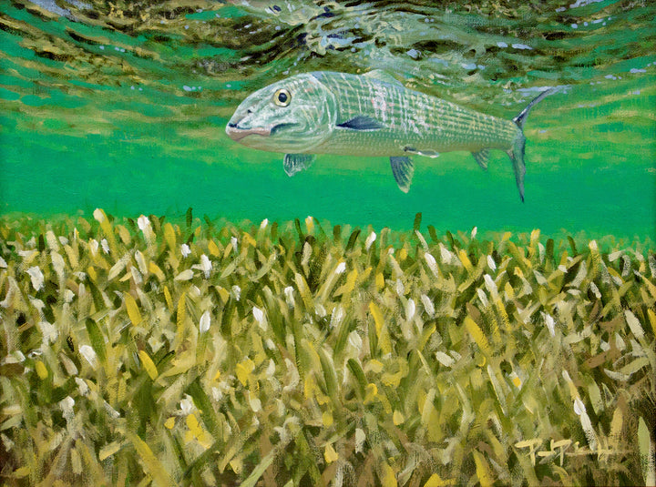 Bonefish Over Turtlegrass Print